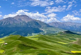 岗什卡雪峰+祁连大草原+卓尔山一日游【畅玩祁连山】
