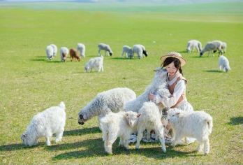 呼和浩特出发：红石崖+敕勒川草原一日游·探秘天赐草原之旅【品质出游】