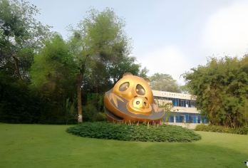 成都大熊猫繁育基地+三星堆一日游【看国宝&探三星含门票】【小车出行，不用早起，成都三环内上门接送；三星堆拼团趣味讲解，成都大熊繁育基地自由活动】