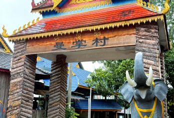 西双版纳野象谷+曼掌村包车一日游（1单1团私家团+本地司导）【独立私家团，开心游版纳，超舒心安逸】