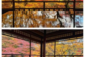 日本京都-琉璃光院.三千院-岚山巍峨野小火车-红叶巡礼红叶季【专业行程定制，精选热门景点，高效游玩不走回头路，贴心服务保障，轻松】