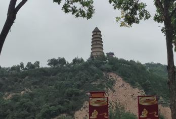 延安宝塔山+王家坪纪念馆+杨家岭革命旧址+枣园革命旧址一日活动【参观革命旧址：杨家岭革命旧址是抗战时期党中央驻地，可参观“七大”会址等，感受当年革命氛围。】