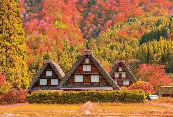 日本名古屋飞驒高山+白川乡一日游【9人精品团|酒店接送可选】【当地专业“华人老司机”，靠谱贴心服务，详细了解日本当地风土人情】
