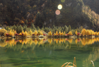 毕棚沟一日游【川西瑞士，彩林   纯玩5小时-无购物】【神圣雪山，原始森林，瀑布飞挂，冰川奇特，素有小九寨之美称】