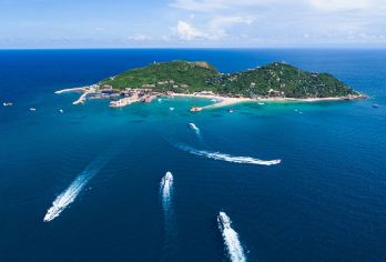 分界洲岛一日游+往返接送【可升级半潜艇观光+海洋剧场演出】【5A海岛、气候、人文、行政分界，玻璃海果冻海，与海洋动物互动】