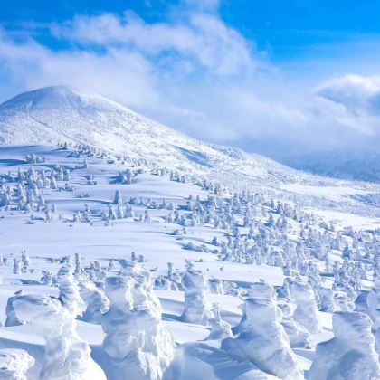 青森小众秘境一日游<奥入濑溪流+八甲田山+十和田湖>可包车