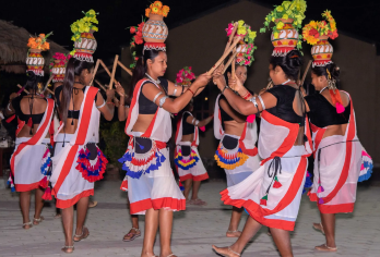 奇特旺国家公园2晚3天全包套餐 - 从加德满都/博卡拉出发【奇特旺国家公园吉普车之旅——有机会看到孟加拉虎/独角犀牛 当地文化活动和傍晚日落丛林漫步 在拉普蒂河上泛舟并参观大象繁育中心】
