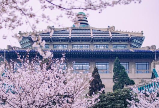 湖北武汉大学（珞珈山区）半日参观【百年高校 深度探访】【[菁英向导]由武大学子带队，将百年校史与学术精神融入生动的校园故事中，行走中完成一堂沉浸式的校史课。】