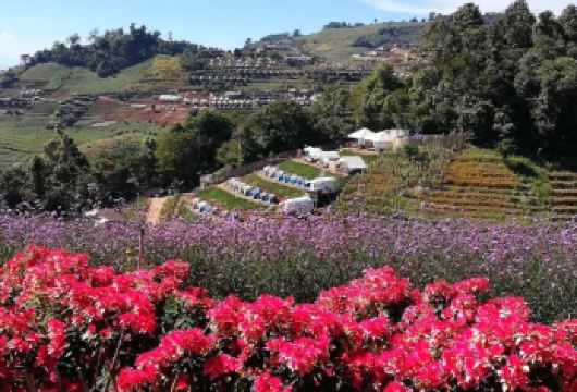 泰国清迈绵羊牧场+蒙占山天空步道+清迈老虎王国中文包车一日游【感受清迈的热情与友好】