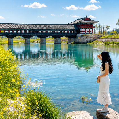 釜山出发庆州一日游：佛国寺、大陵苑、月精桥
