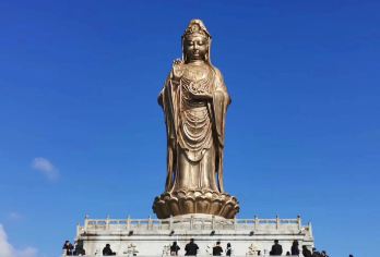 普陀山风景区一日游+西天景区+普济禅寺+南海观音全游览【[专业团队]专职导游全程陪同“佛”系讲解.纯玩静心游，】