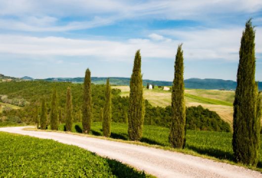 意大利佛罗伦萨锡耶纳皮恩扎奥尔恰谷一日游托斯卡纳中文包车【托斯卡纳四季都是爱上这里的理由，经典的田园乡村风光】