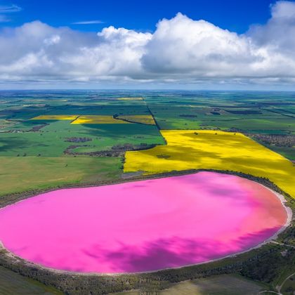 墨尔本+Pink Lake一日游