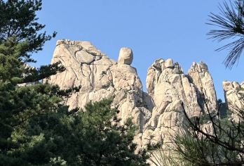 青岛崂山风景区纯玩包车一日游【直达崂山/青山渔村/环海公路】【[省心直达]直达崂山景区内免换乘，更省心，套餐均含市区接送！】