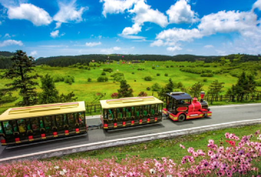 武隆天生三桥+仙女山国家森林公园一日包车游不含票+上门接送【[优势亮点]私家团、ViP一单一团，不拼车，不拼人，专车专用，属于专属空间。】