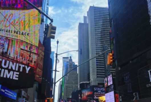 美国私享行/【纽约】4-5个网红地标深度游玩-可定制行程【专业行程定制，精选热门景点，高效游玩不走回头路，贴心服务保障，轻松】