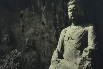 【梦回神都】：【龙门石窟】+【洛阳博物馆】【纯玩讲解：出行无忧】