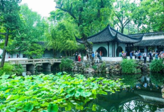【经典纯玩团】苏州拙政园+寒山寺+游船+周庄一日游【[品质保障]本地自营资源，严控行程品质；专业导游服务，全程安心保障；24小时响应，旅途无忧。】