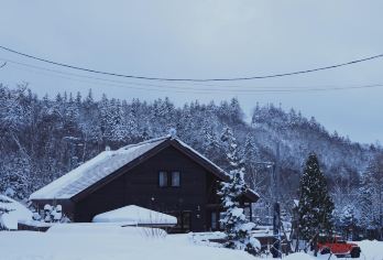日本北海道旭川动物园｜白须瀑布｜札幌往返｜中文专车【尊享一对一高端行程定制，多日豪华包车专属礼遇，专业旅行顾问24小时恭候垂询。】