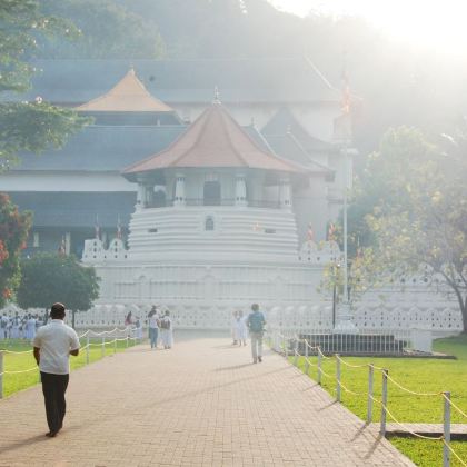 斯里兰卡科伦坡大象孤儿院-康体植物园-康提湖｜英文包车一日游