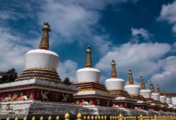 8人拼小团-五台山一日游商务车太原环内上门接送【[精致小团]6-8人拼小团，可选单程直通车套餐】