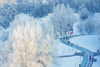 雪乡一日游+亚布力滑雪+大秃顶子山+【私家团】包车自由行【亚布力西站起止，专车接送，全程无套路，纯玩团放心游】