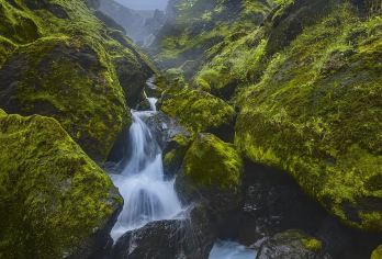 冰岛雷克雅未克市区景点+维迪岛生态路线-包车-精选【专属客服和本地中文司机，一家一团包车】