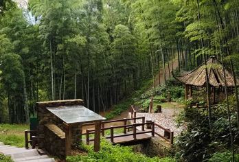 广德市区往返｜笄山竹海-灵山大峡谷一日游【多车型可选】【[一对一包车]专车上门接送，车辆费用全含】