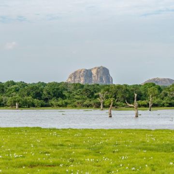 【英文司机包车游】科伦坡+雅拉国家公园