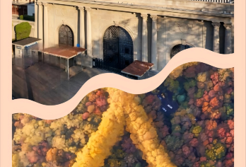 南京总统府+长江十二城+中山陵+美龄宫+梧桐大道一日活动【一日行，一站式饱览南京民国历史与人文风光。】