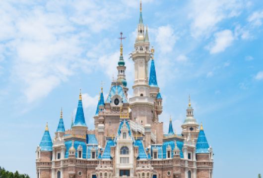 上海迪士尼度假区一日游33VIP门票【14项快通+快速入园】【尊享14大项目专属快速通道，免去漫长排队，高效打卡热门景点，将时间全部留给沉浸式游玩体验。】