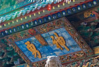 运城关公故里文化旅游景区半日游【上门接送 游玩随心】【升级一:晚起!慢玩!1对1包车服务,一次玩个够】