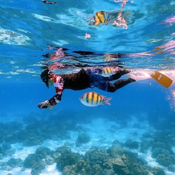 泰国洛克岛+哈岛一日游|跳岛游+浮潜|可选普吉甲米兰塔出发