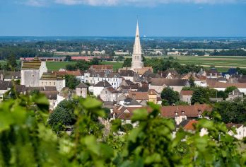 法国勃艮第包车一日游 武戎园罗曼尼康蒂葡萄园伏旧园夜丘第戎【找到一些“酒”的感觉，感受红酒之乡的醉人醇香，品美酒】