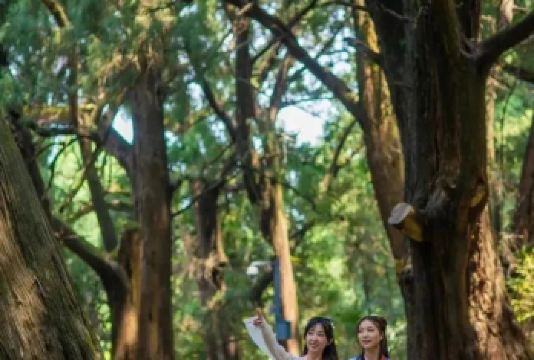 徒步古蜀道一日游【千年古蜀道 半部华夏史】