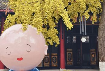 大慈寺+太古里+春熙路Citywalk半日游 导游全程陪同【成都繁华交易地，传统与时尚静谧与繁华交相呼应】