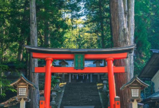 日本名古屋飞驒高山+日枝神社一日游【中文服务/包车服务】【尊享一对一高端行程定制，豪华包车专属礼遇，专业旅行顾问24小时恭候垂询。】