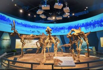 阳山碑材+古猿人洞+汤山方山国家地质博物馆丨赠南京本地特色餐【[优良资质]南京万达国旅，深耕南京旅游20年，致力于品质游，让您放心省心安心！】