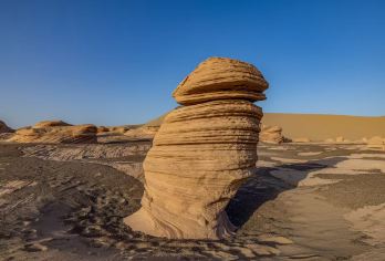 【穿越大海道一日游丨穿越胡杨林、小雅丹大海道核心区】硬派越野【[越野穿越大海道]全都有，打卡大海道核心区网红景点“神仙洞”“沙漠雅丹”大海道景色尽收眼底】
