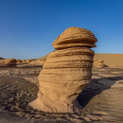 【穿越大海道一日游丨穿越胡杨林、小雅丹大海道核心区】硬派越野