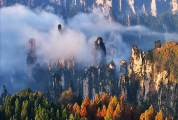 张家界国家森林公园一日游【可选VIP免排队 8人/25人团】【[独有服务]可选景区VIP服务套餐，享快速入园+6大环保车快速通道，免排队N小时，精华线路东门进出】