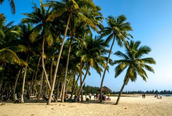文昌宋氏祖居+东郊椰林风景区+石头公园1日游【精选大团+纯玩【可承接公司、协会等团队团建定制策划】