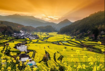 江西婺源+李坑+汪口+晓起/江岭+江湾一日包车游【江西婺源特色小镇 灰墙白瓦 小桥流水】