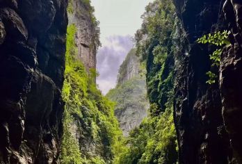 重庆武隆天生三桥+仙女山国家森林公园一日游【8人纯玩小团】【纯玩不购物，1-8人小团，上门接，服务不满意全额退款(需要独立成团的联系客服申请)】