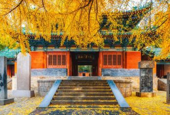 河南嵩山少林寺深度一日游【中英文导游】【国外友人可选】【导游深度讲解，禅、武、景三位一体的文化浸入式体验。】