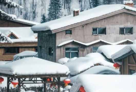 亚布力滑雪一日游【6人团】+中国雪乡【纯玩无购物】【专业导游带队讲解，金牌司导带您玩，24小时客服在线。上门接送轻松畅游】