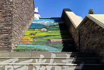 阿勒泰地区博物馆+阿勒泰角落书吧+一牧场马术基地一日游小团【[市区接送]阿勒泰市区接送，睡醒出发，确保私密性和灵活性】