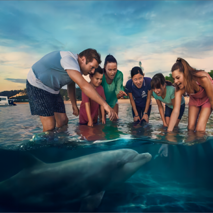 澳大利亚布里斯班摩顿岛一日游【观喂海豚|可加购酒店接送】