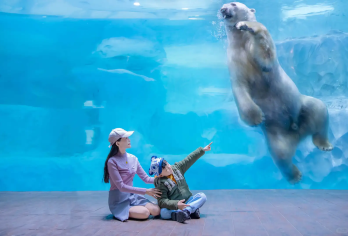 珠海一日游包车游/家庭游/亲子游/独立成团/一车一团小团【[安心出行]司机上门接您，为您解决人生地不熟的困扰】