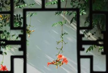 上海到苏州拙政园虎丘寒山寺山塘街一日游纯玩（含车导门票）【跨城无忧，一站式服务】